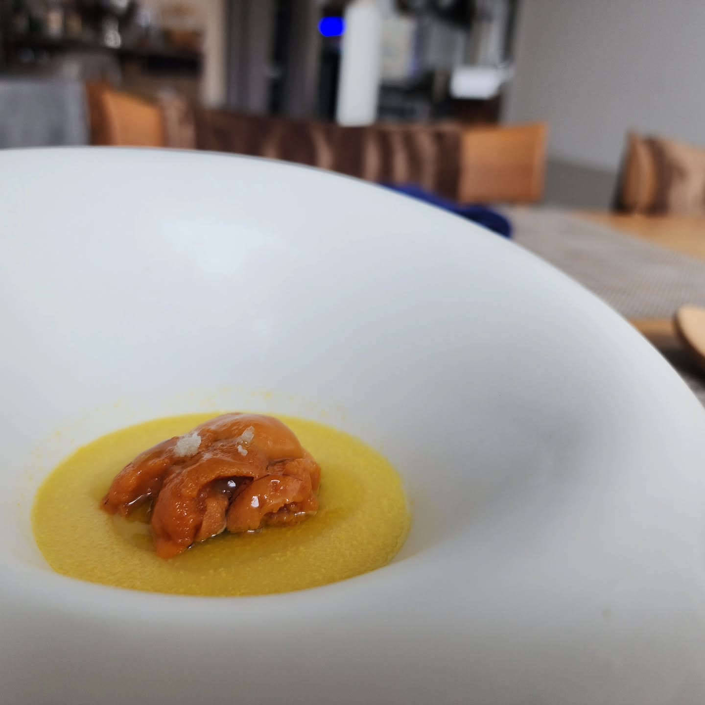 とうもろこしのパンナコッタ ～雲丹添え～